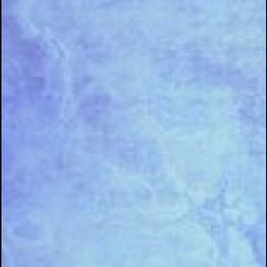 Meet your Posher, Elaina